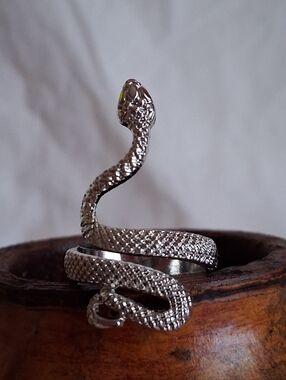 Adjustable Snake Ring